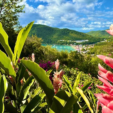 Au Jardin Des Colibris Ecolodge&Spa Deshaies Luaran gambar