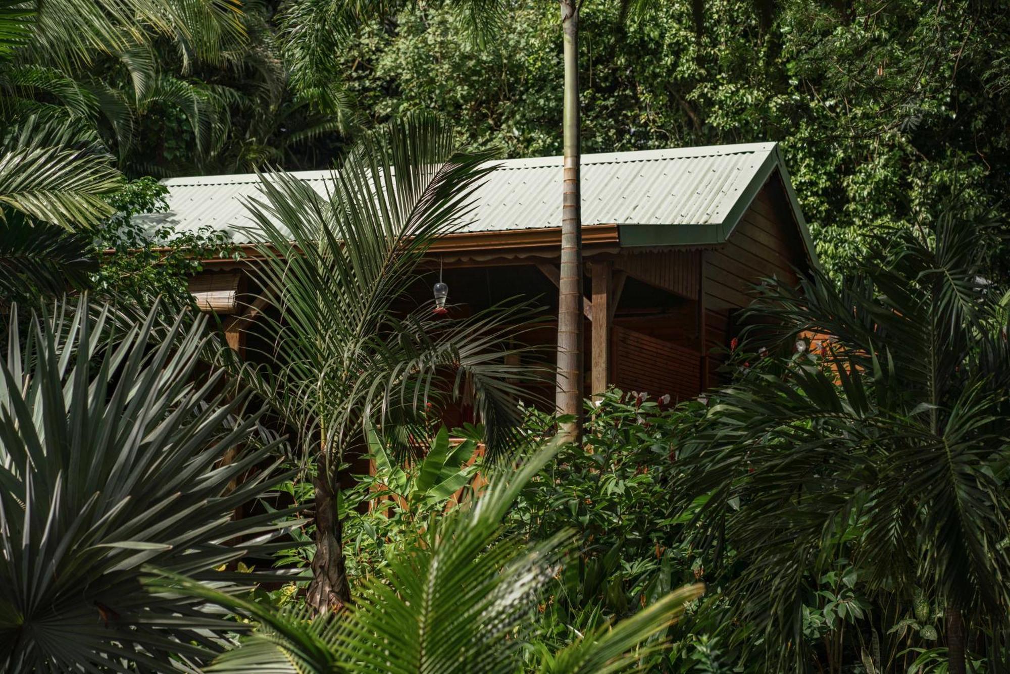 Au Jardin Des Colibris Ecolodge&Spa Deshaies Luaran gambar