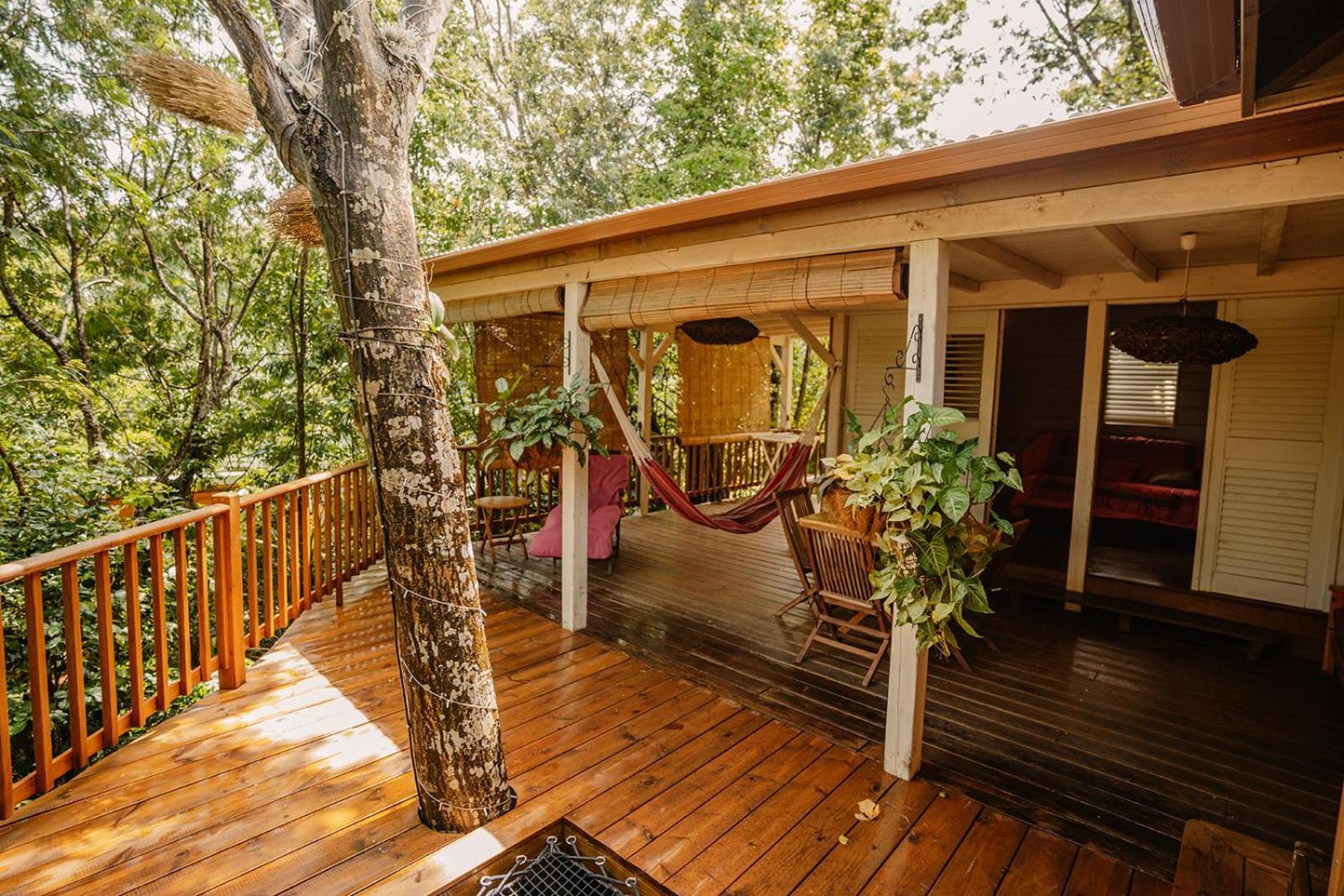 Au Jardin Des Colibris Ecolodge&Spa Deshaies Luaran gambar